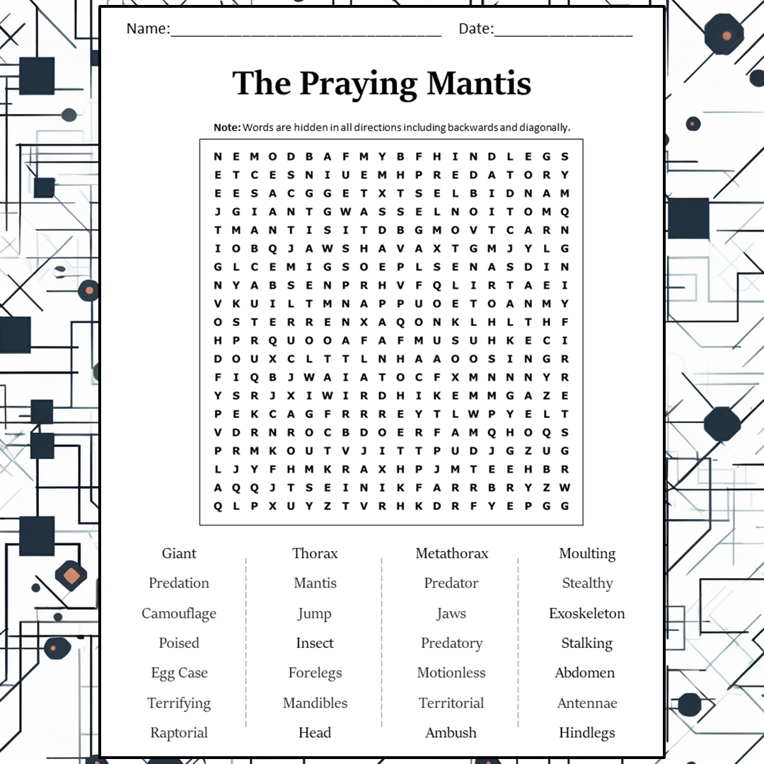 The Praying Mantis Word Search Puzzle Worksheet Activity PDF ...