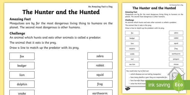 predator prey worksheet