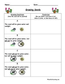 prediction worksheet for 2nd grade