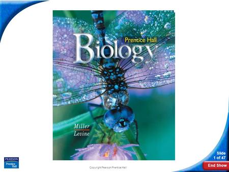 prentice hall biology chapter 12 worksheet