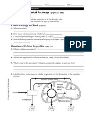 prentice hall biology worksheet