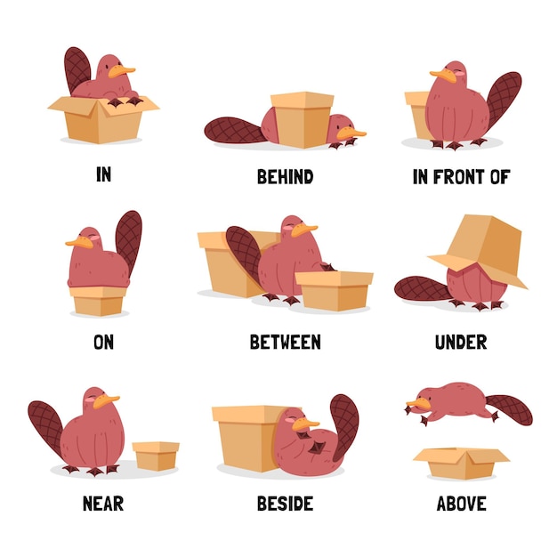 preposition worksheet kindergarten