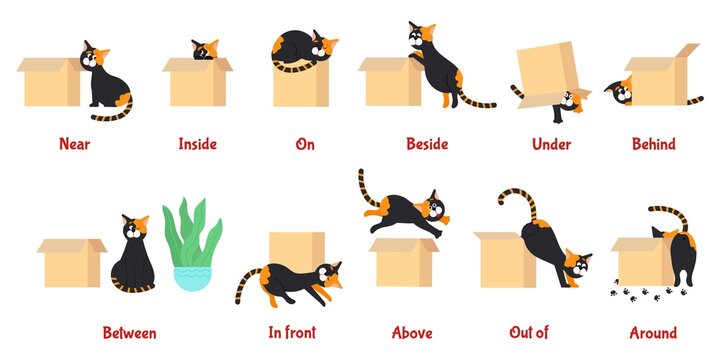 Prepositions-Bilder: Stock-Fotos &  -Videos. | Adobe Stock