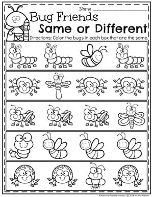 Bug Activities - Planning Playtime