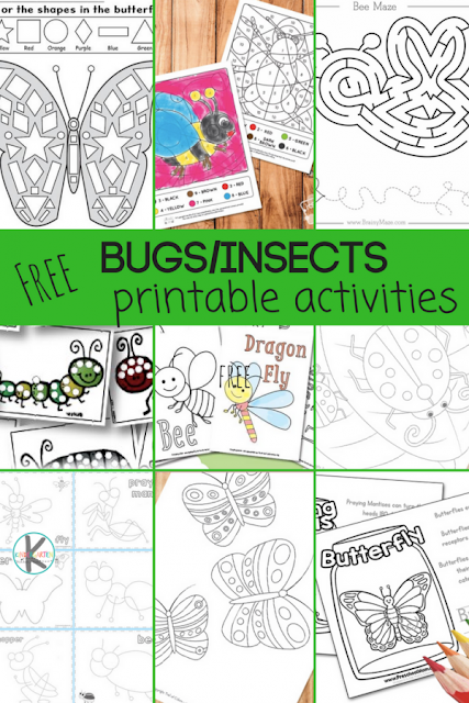 preschool bug worksheet