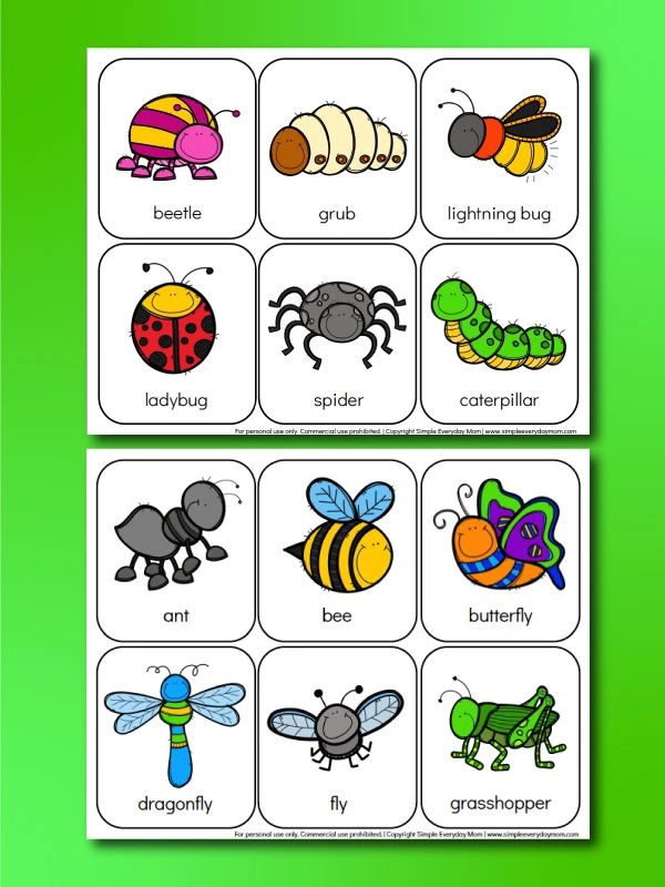 Printable Preschool Bug Activities For Kids