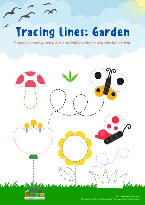 preschool category worksheet