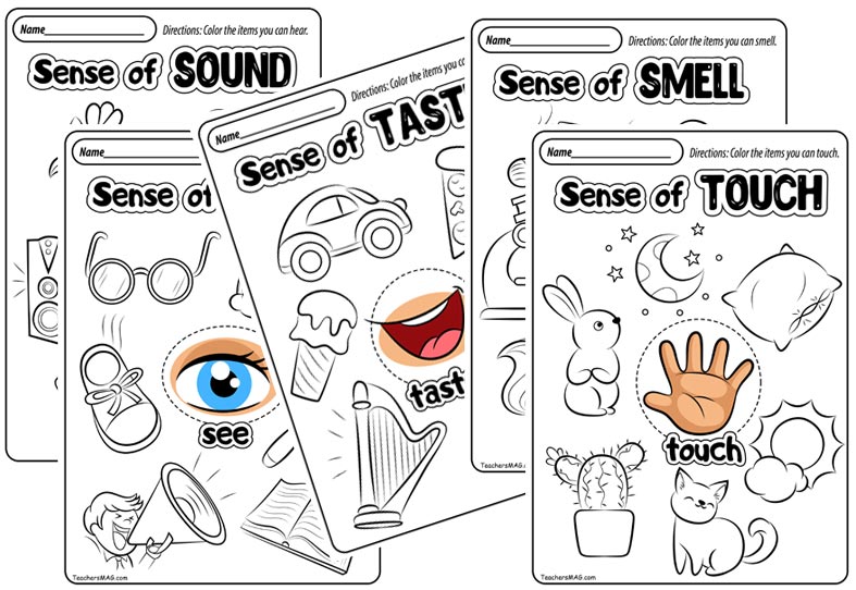 preschool five senses worksheet