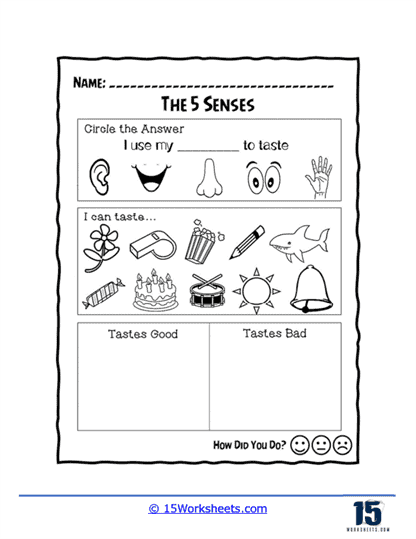 preschool five senses worksheet
