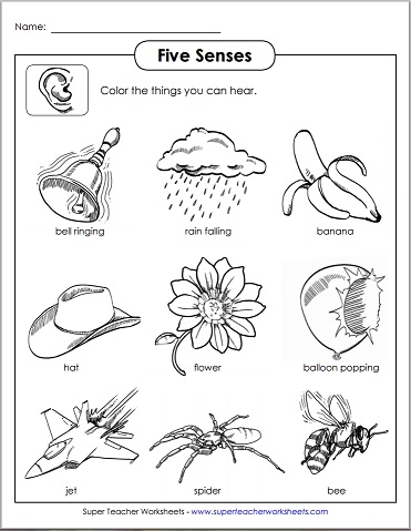 preschool five senses worksheet
