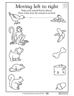 preschool food worksheet