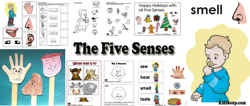 My Five Senses Preschool Activities, Lessons, and Printables ...