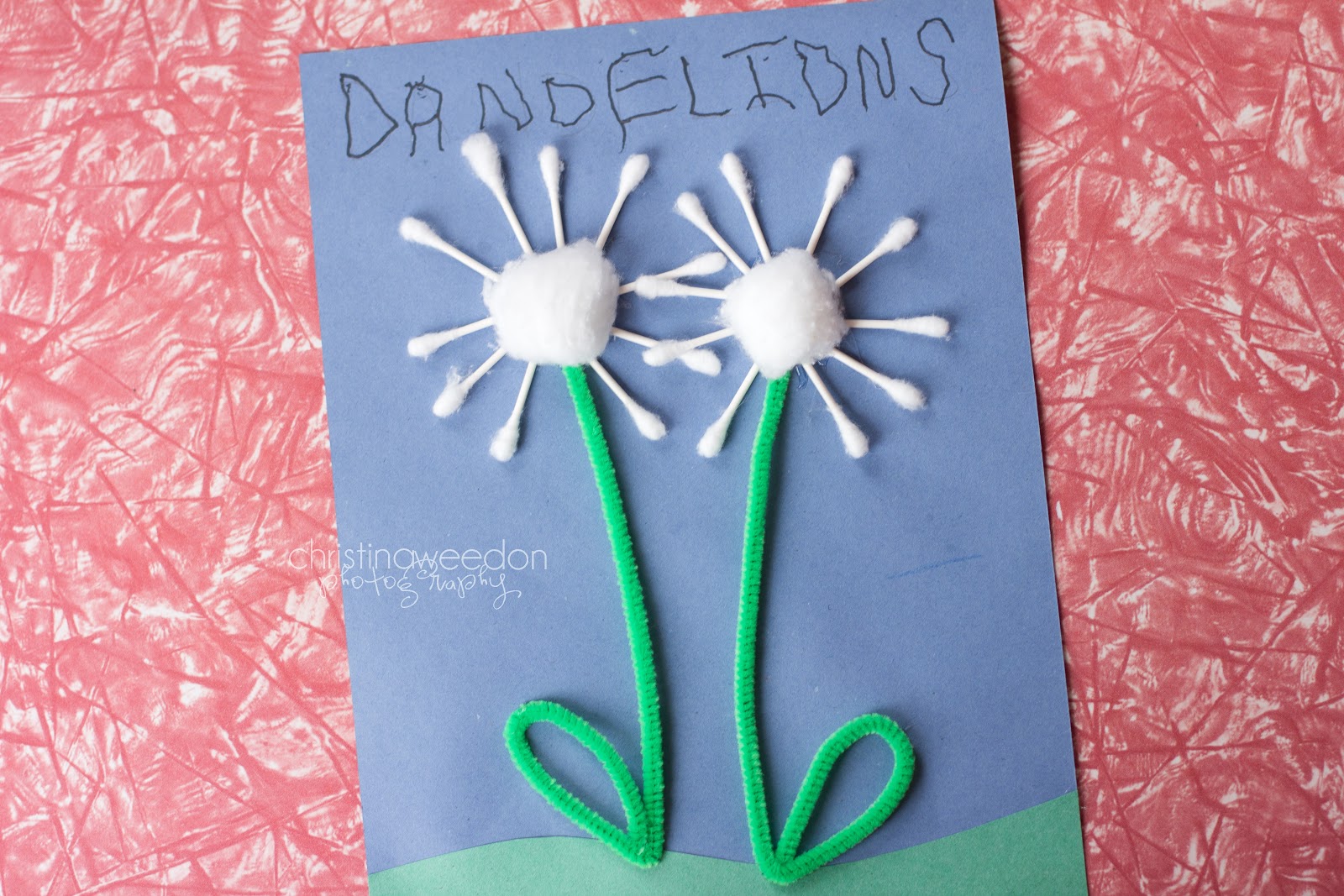 Dandelions on the Wall: Homeschool: The Letter D {crafts ...