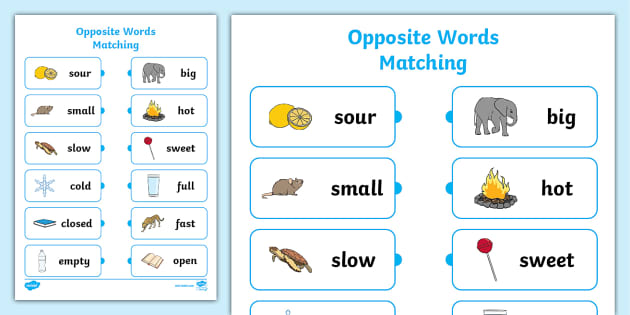 Opposites Worksheet | Opposite Words Matching Activity