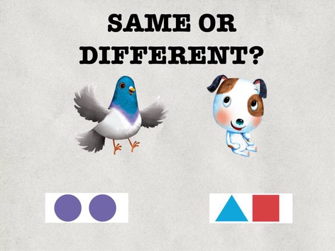 Same Or Different Free Games | Activities | Puzzles | Online for ...