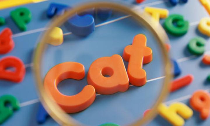 Spelling bee words for five to six year olds | Kidspot