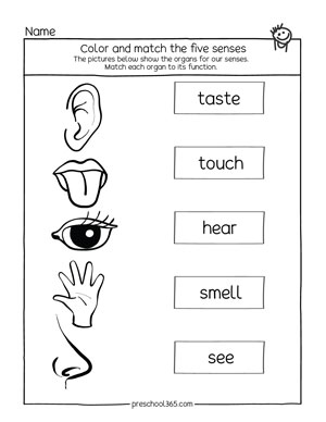 My Five Senses Kindergarten Activity Printables