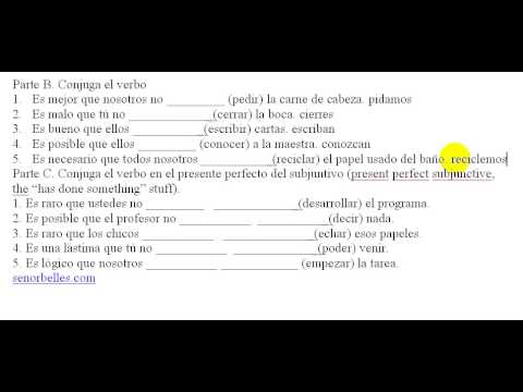 present perfect spanish worksheet