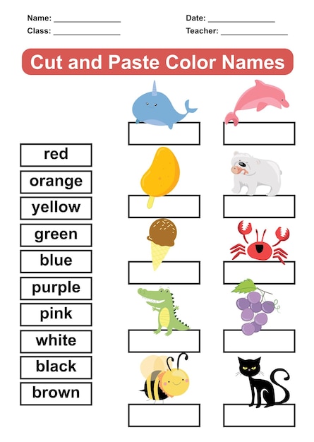 primary and secondary colors worksheet