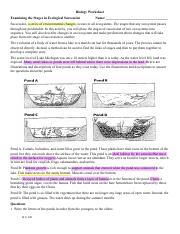 succession worksheet.pdf - Biology Worksheet Examining the Stages ...