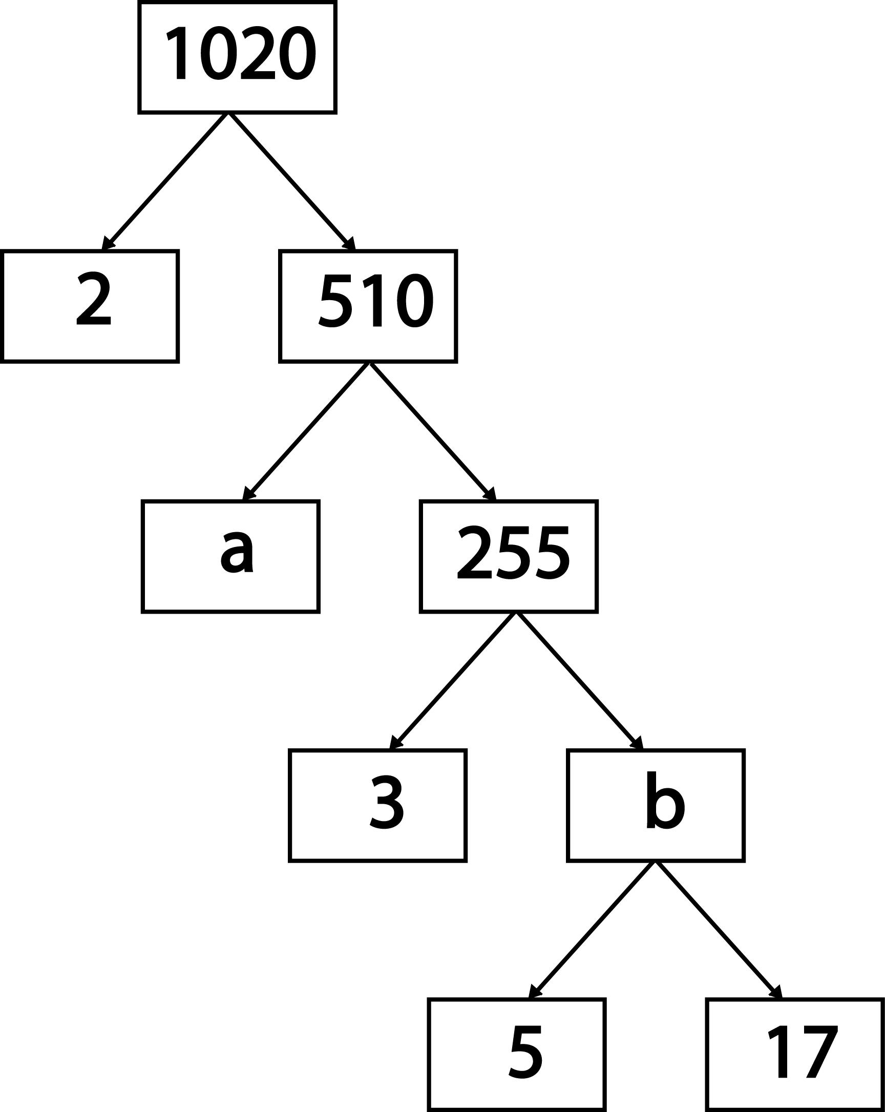 prime factorization of 10