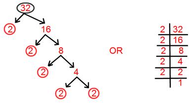 Prime Factorisation |Complete Factorisation |Tree Factorisation Method