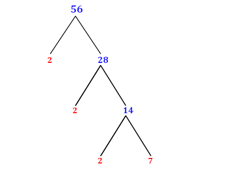 prime factorization of 56