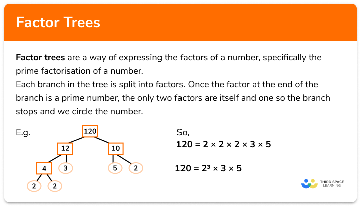 Factor Trees - GCSE Maths - Steps, Examples & Worksheet - Worksheets ...