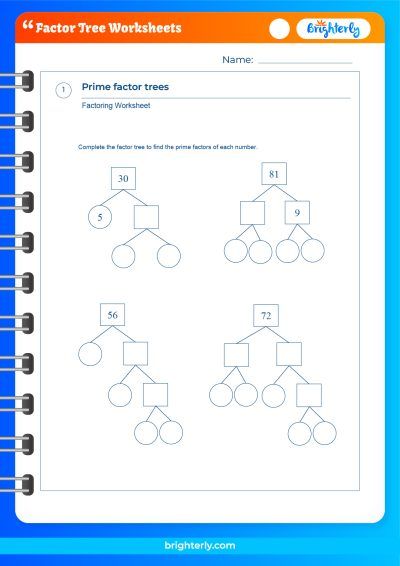 prime factors worksheet 6th grade