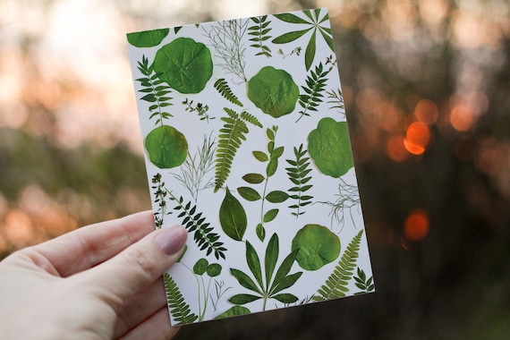 print greeting cards india