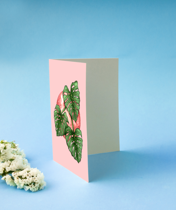 print greeting cards online australia