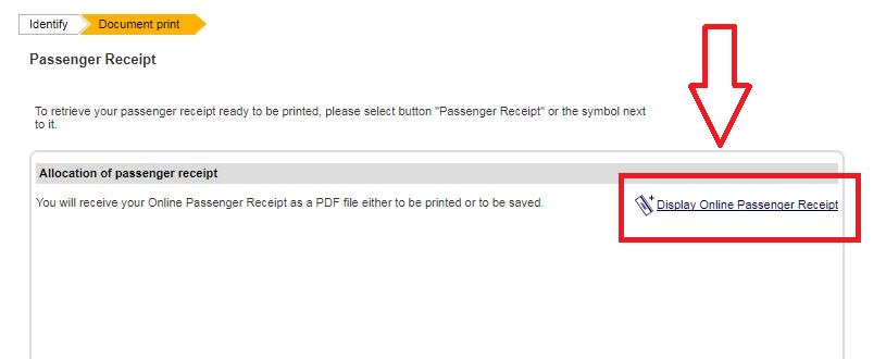 Home Printed Boarding Pass | Download Free PDF | Baggage | Transport