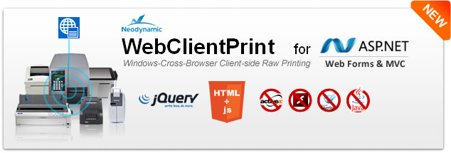Send and print raw data commands from ASP.NET to client-side ...
