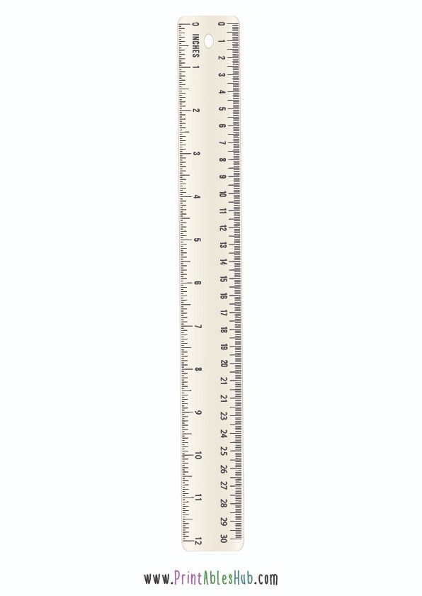 printable 12 inch ruler with fractions