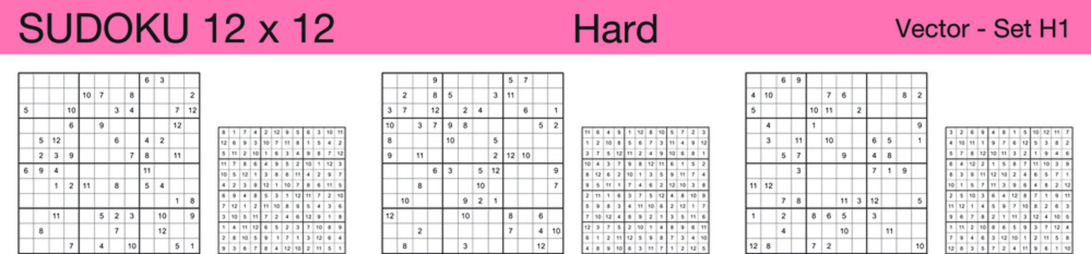 Large Sudoku 12X12 Large Print - Easy To Extreme - Volume 20 - 276 ...