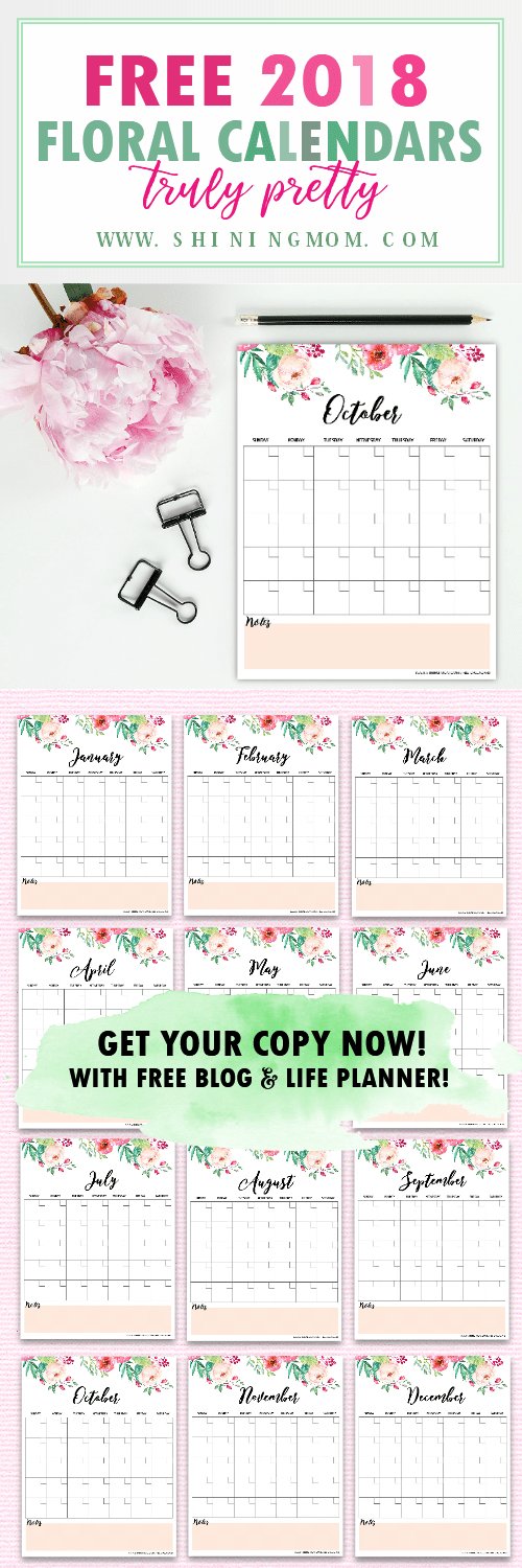 printable 6 month planner 2018
