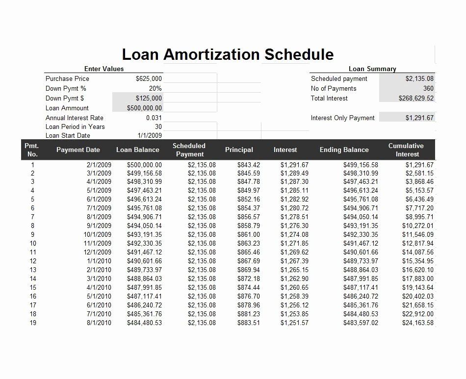 40 Payment Schedule Template Excel | Markmeckler Template Design