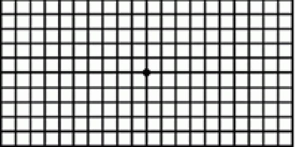 printable amsler grid chart