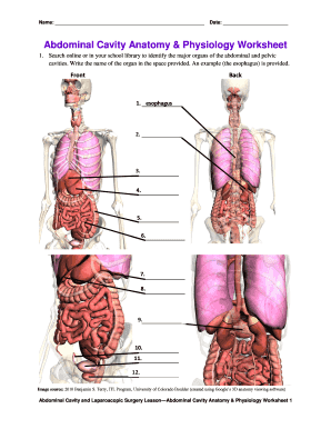 Anatomy Worksheets Pdf - Fill and Sign Printable Template Online
