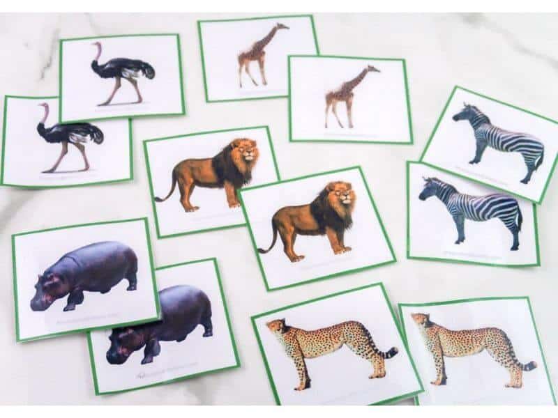 printable animal cards