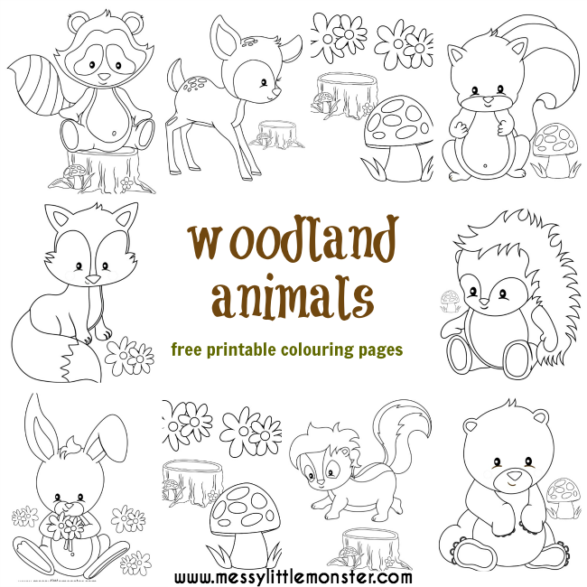 Woodland Animal Colouring Pages - Messy Little Monster