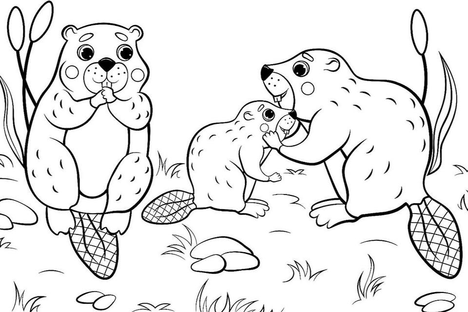 printable animal coloring pages free