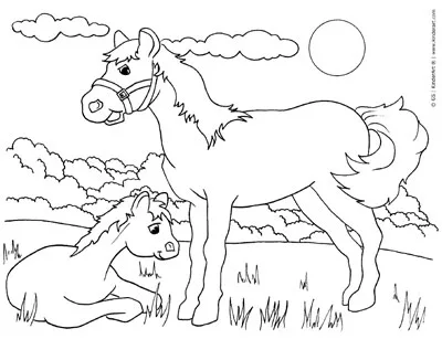 printable animal coloring pages