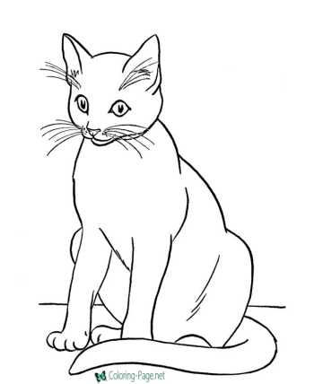 printable animal coloring pages