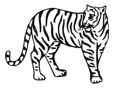 printable animal drawings