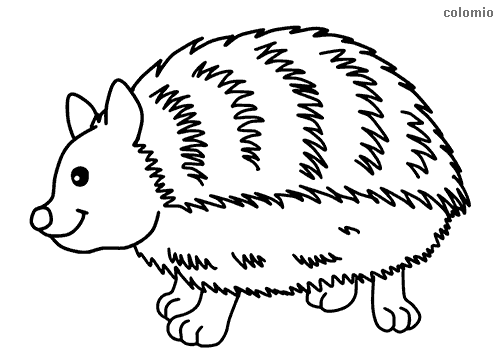 Animals coloring pages » Free &  Printable » Animals Coloring sheets