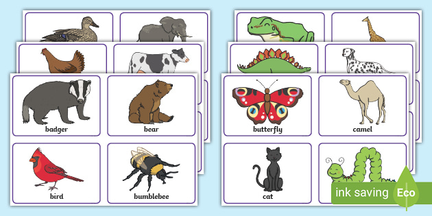 printable animal flashcards for toddlers