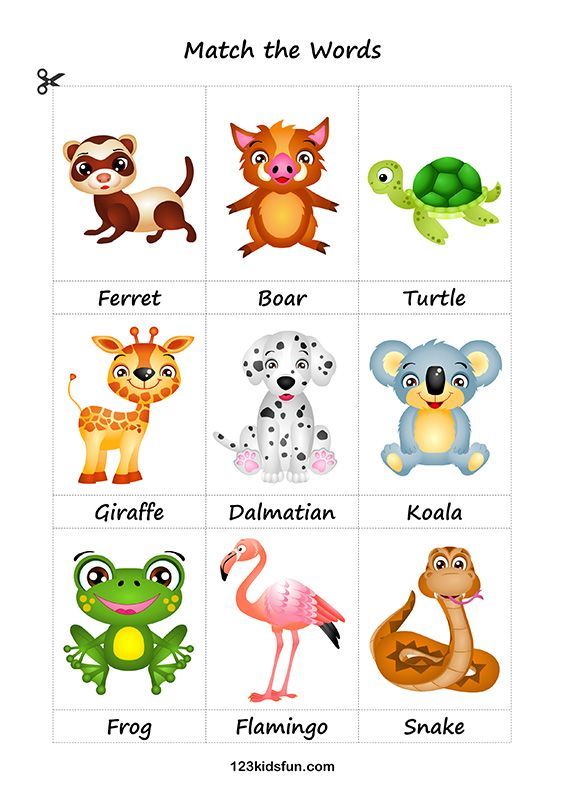 printable animal flashcards for toddlers
