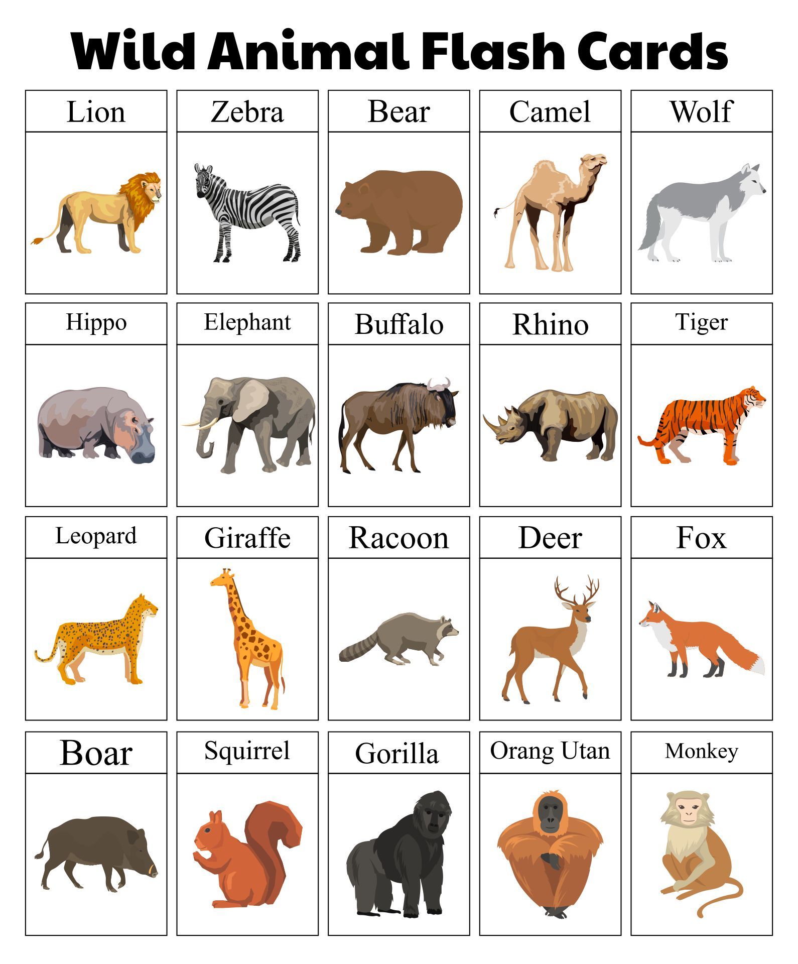 printable animal flashcards for toddlers