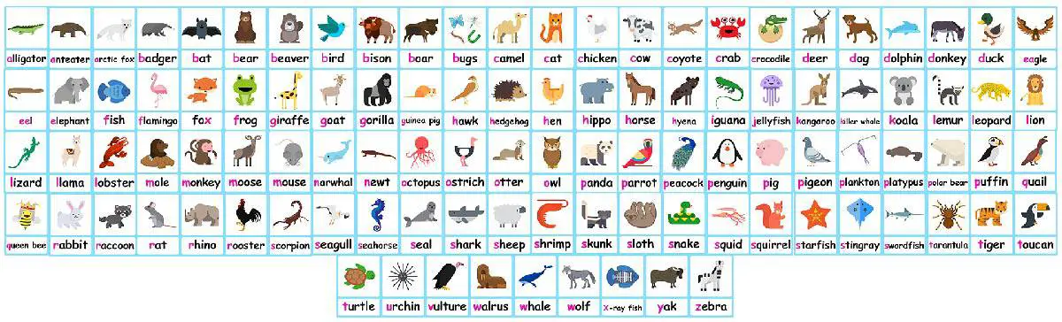 100 Animal flashcards + FREE Animals Phonics Poster!